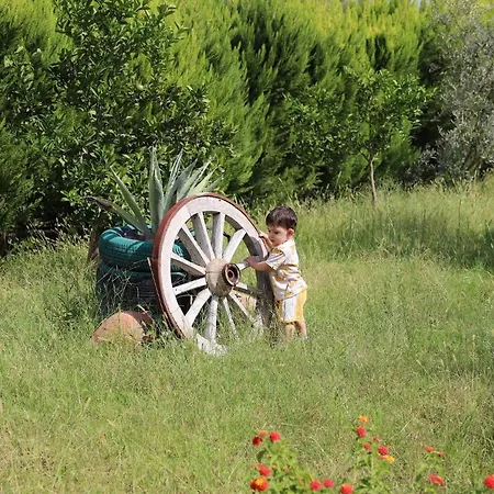 Leontopolis 3* Çıralı
