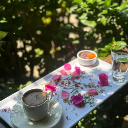 Leontopolis 3* Çıralı