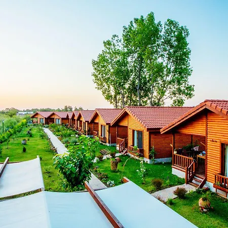 Leontopolis Çıralı