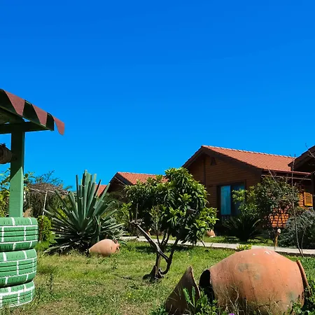 Leontopolis Çıralı