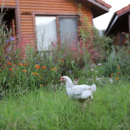 Appart hôtel Leontopolis Çıralı