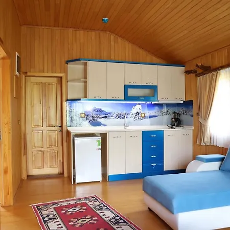 Apart-hotel Leontopolis 3*