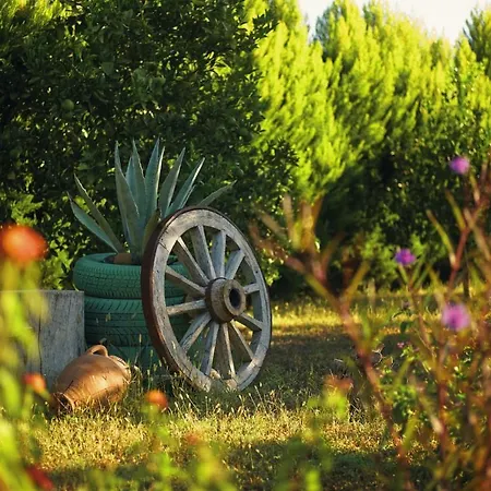 Leontopolis Çıralı