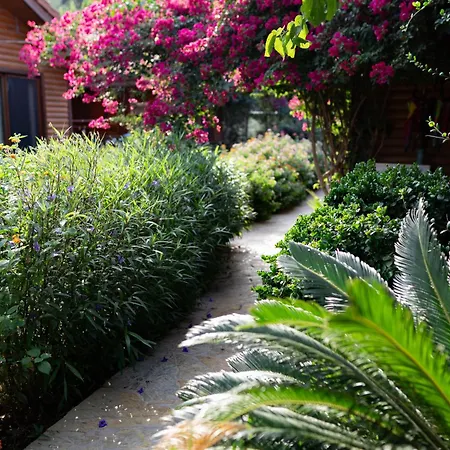 Apart-hotel Leontopolis