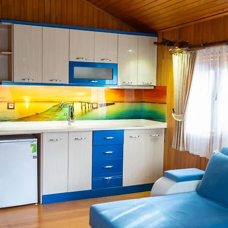 Apart-hotel Leontopolis