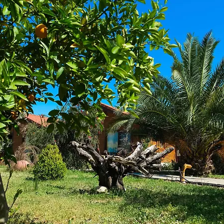 Leontopolis Çıralı