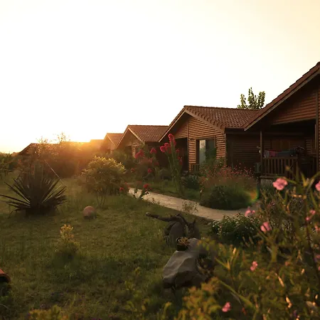 Leontopolis Çıralı