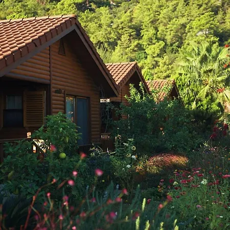 Leontopolis Çıralı