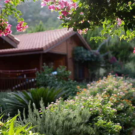 Leontopolis アパートホテル