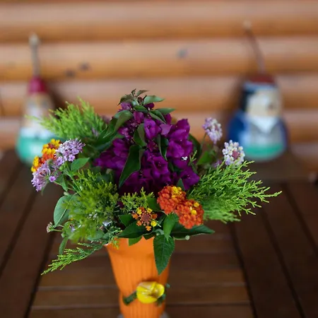 アパートホテル Leontopolis 3*