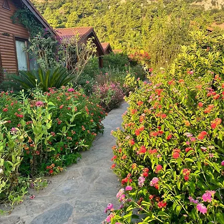 Leontopolis アパートホテル